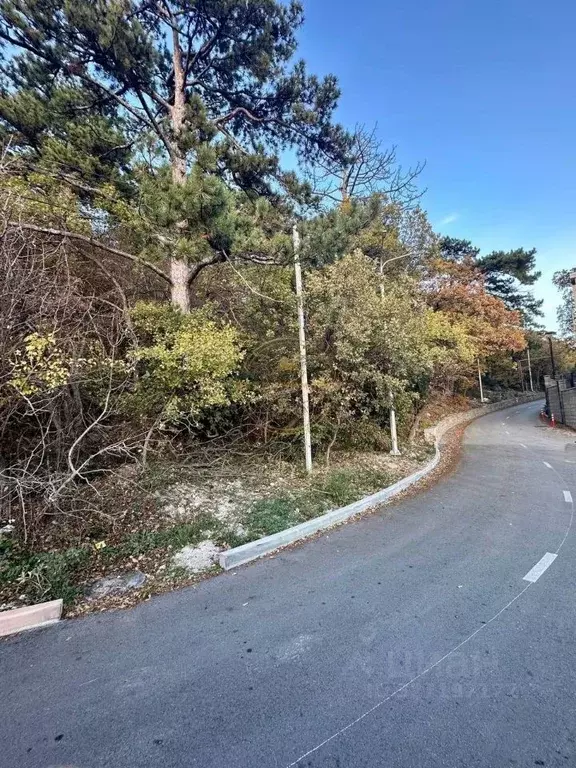 Участок в Крым, Ялта муниципальный округ, Восход пгт ул. Наташинская ... - Фото 2