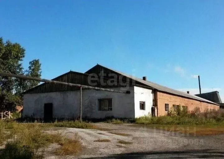 Склад в Новосибирская область, Ордынский район, пос. Чернаково ул. ... - Фото 1