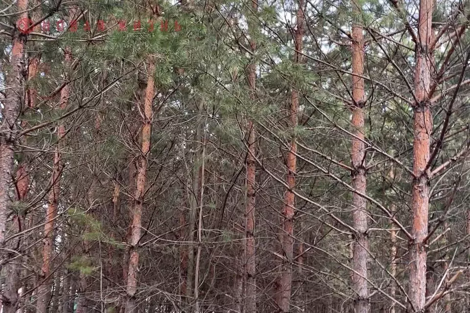 Участок в Самарская область, Волжский район, Курумоч с/пос, пос. ... - Фото 0