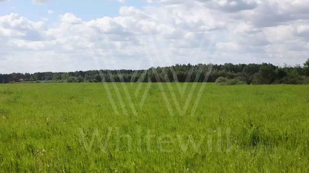 Участок в Московская область, Одинцовский городской округ, д. ... - Фото 1