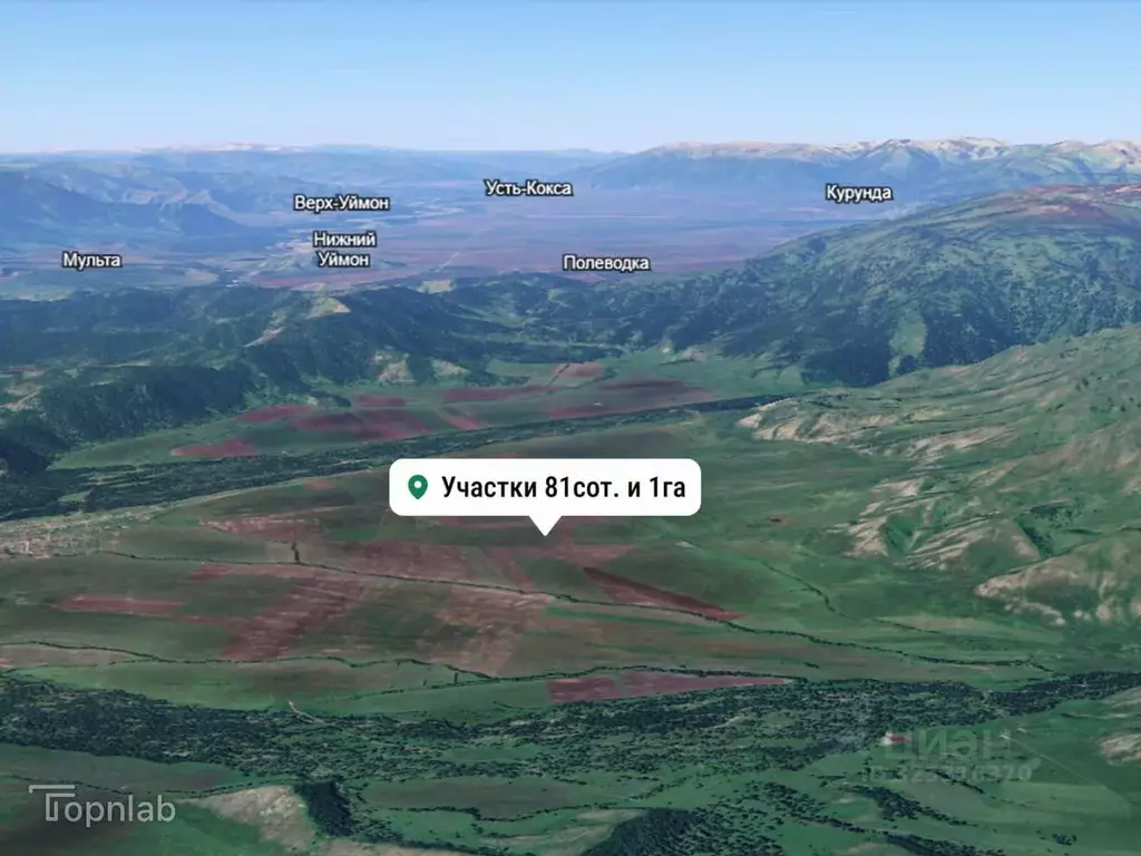 Участок в Алтай, Усть-Коксинский район, с. Усть-Кокса  (181.0 сот.) - Фото 2