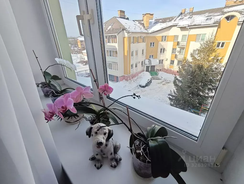 4-к кв. Новгородская область, Великий Новгород Район Софийская ... - Фото 1