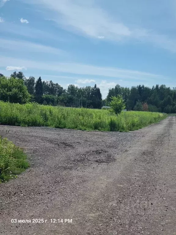 Участок в Московская область, Ступино городской округ, Новое ... - Фото 1