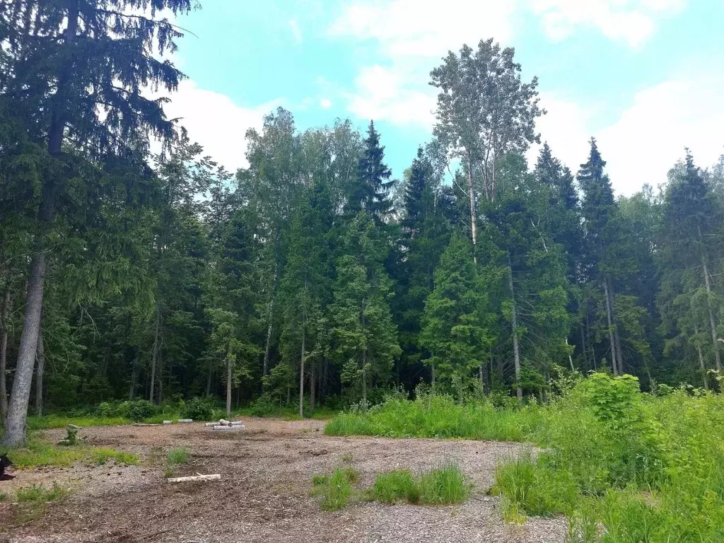 Участок в Московская область, Одинцовский городской округ, Топаз ДНТ ... - Фото 1