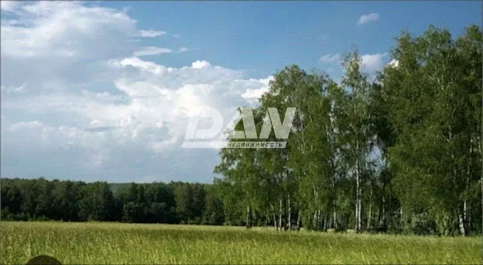 Участок в Челябинская область, Красноармейский район, Лазурненское ... - Фото 2