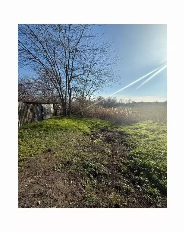 Участок в Краснодарский край, Калининский район, Гривенское с/пос, ... - Фото 1