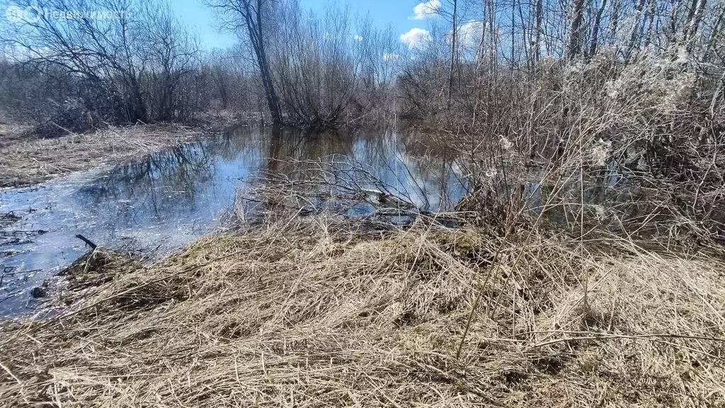Участок в село Брод, Заречная улица (14.34 м) - Фото 2