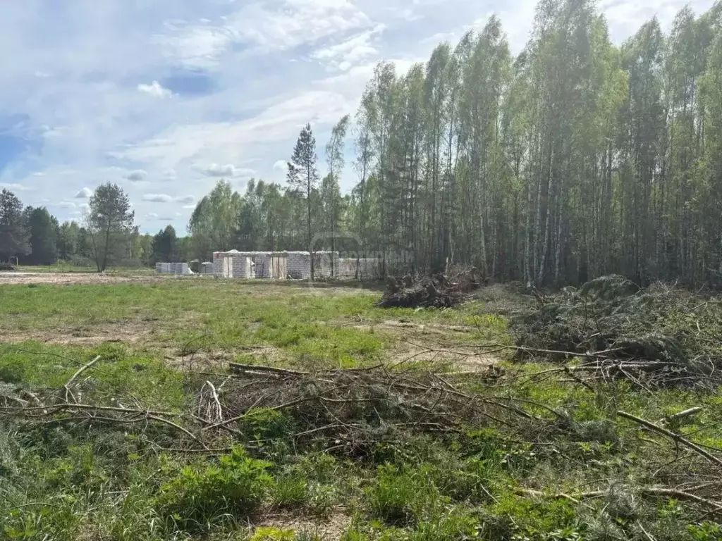 Участок в Владимирская область, Владимир ул. Дербеневская (10.0 сот.) - Фото 2