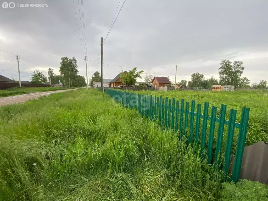 Участок в Искитимский район, село Быстровка (15 м) - Фото 1