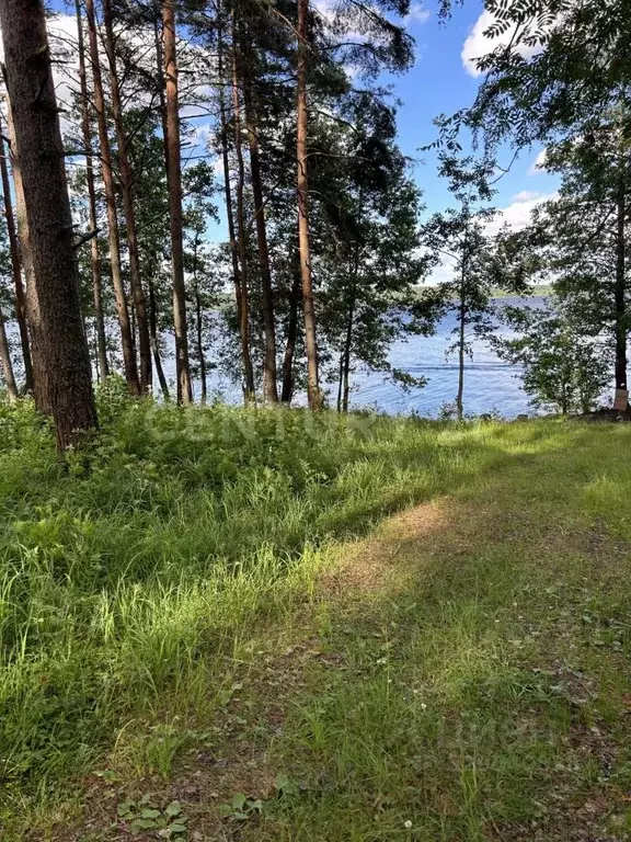Участок в Ленинградская область, Приозерский район, Громовское с/пос, ... - Фото 1