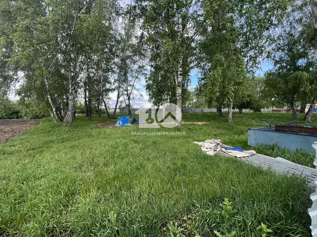 Участок в Новосибирская область, Коченевский район, д. Буньково ... - Фото 0