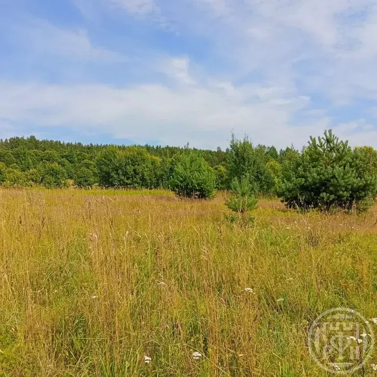 Участок в Карелия, Лахденпохский муниципальный округ, пос. Асилан  ... - Фото 2