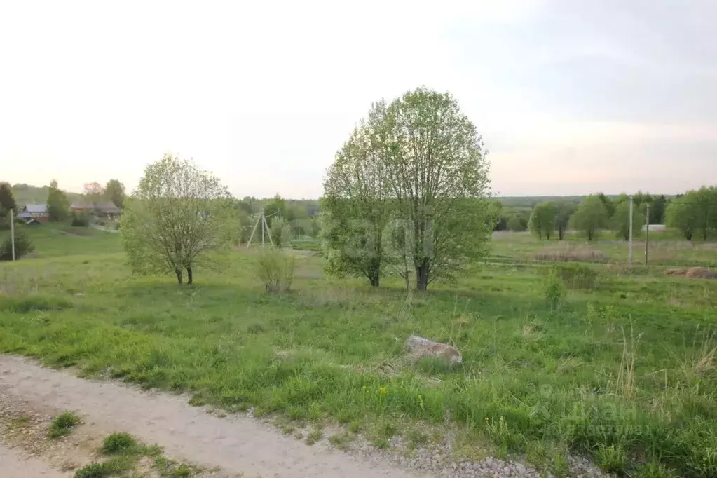 Участок в Вологодская область, Шекснинский муниципальный округ, д. ... - Фото 1