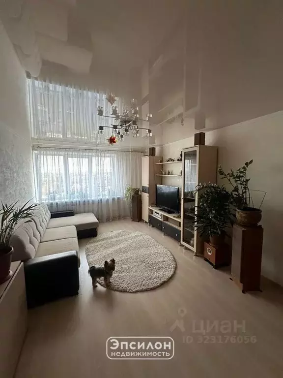 3-к кв. Курская область, Курск пер. 2-й Весенний, 22 (63.4 м) - Фото 2