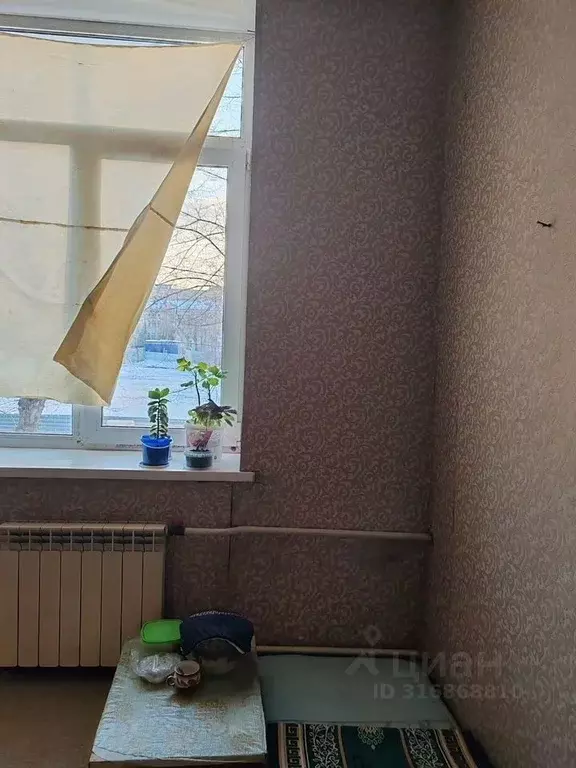 Комната Свердловская область, Екатеринбург ул. Баумана, 30А - Фото 2