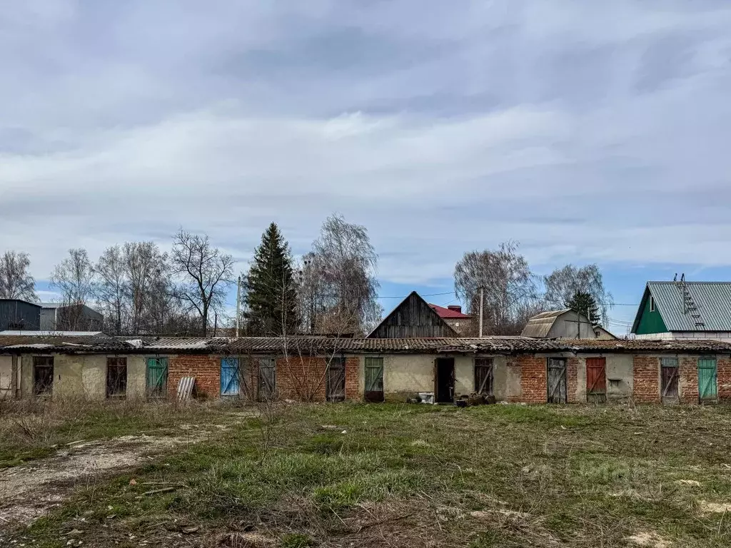 Помещение свободного назначения в Орловская область, Кромы пгт ул. К. ... - Фото 0