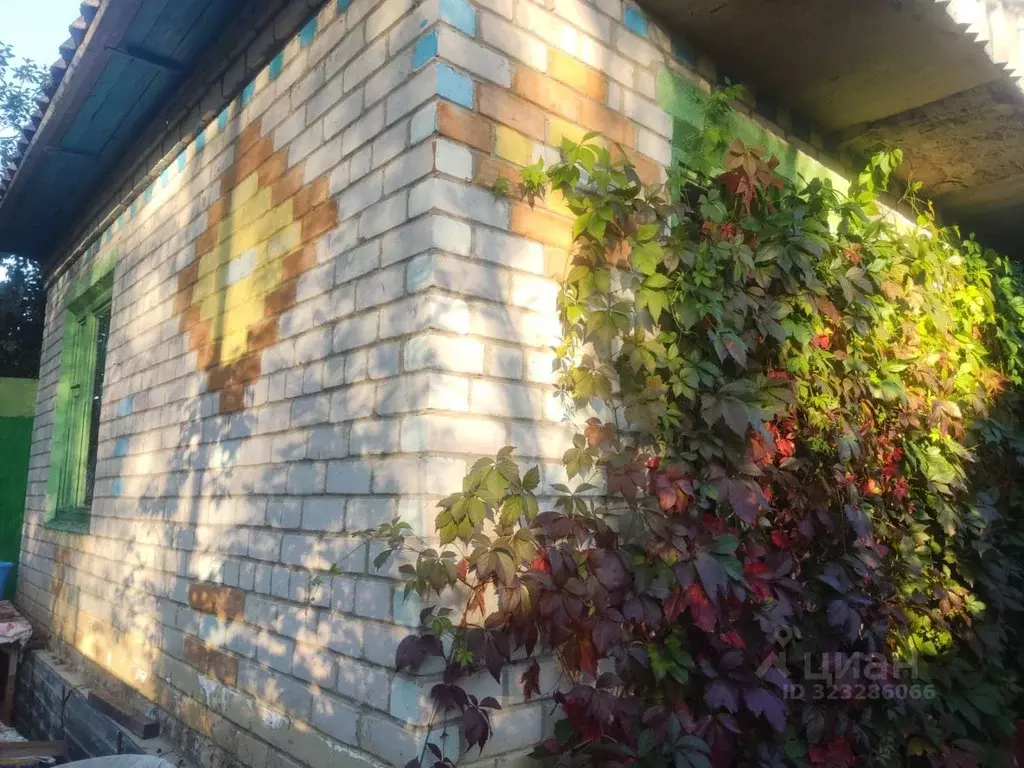 Дом в Новгородская область, Новгородский район, Панковское городское ... - Фото 0