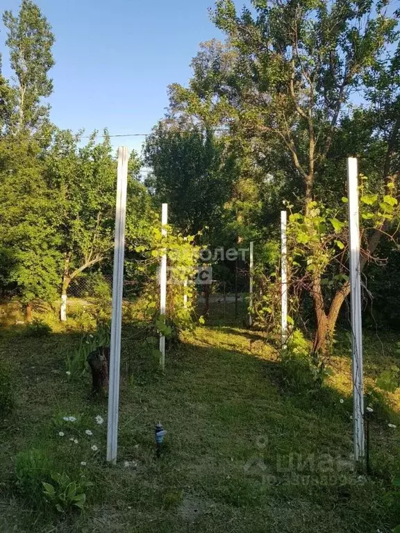 Дом в Воронежская область, Семилукский район, Стрелица рп ул. ... - Фото 1