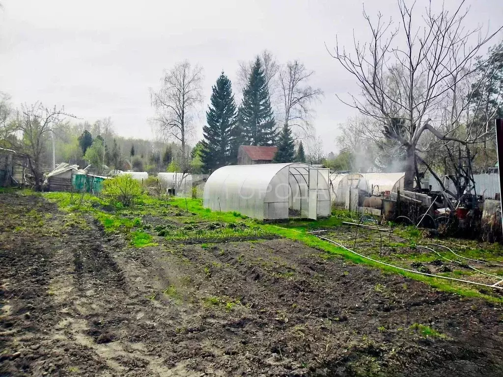 Участок в Новосибирская область, Новосибирский район, Барышевский ... - Фото 1