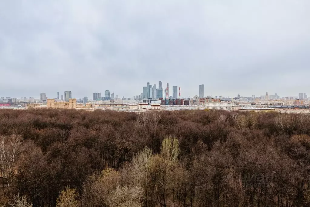 6-к кв. Москва Ленинский просп., 26 (345.0 м) - Фото 2