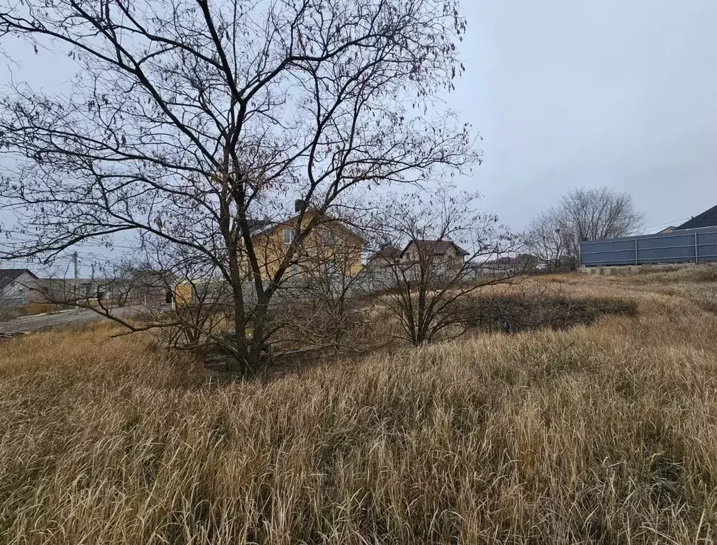 Участок в Волгоградская область, Волгоград Солнечный мкр, ул. ... - Фото 1