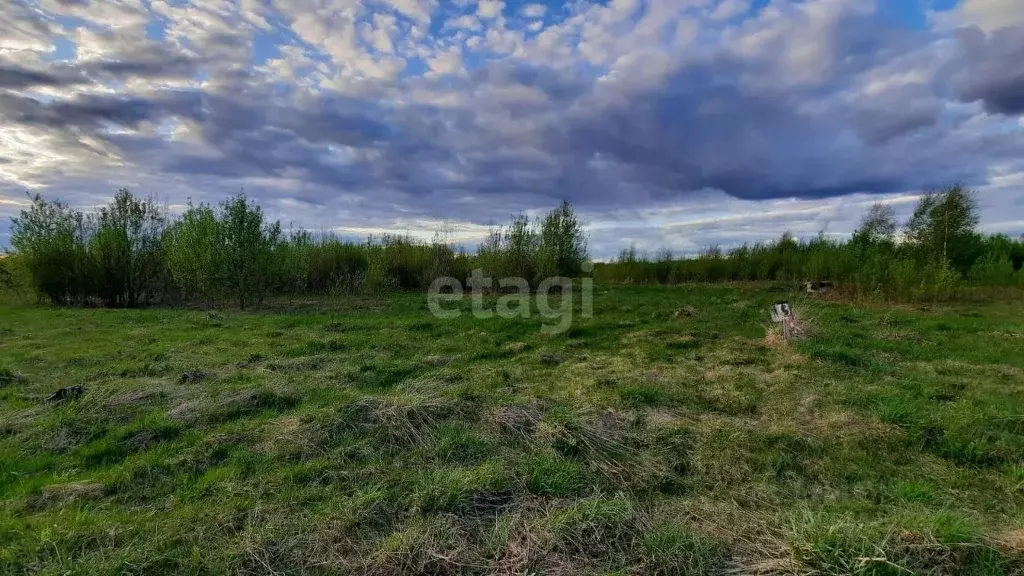 Участок в Новгородская область, Новгородский район, Ракомское с/пос, ... - Фото 0