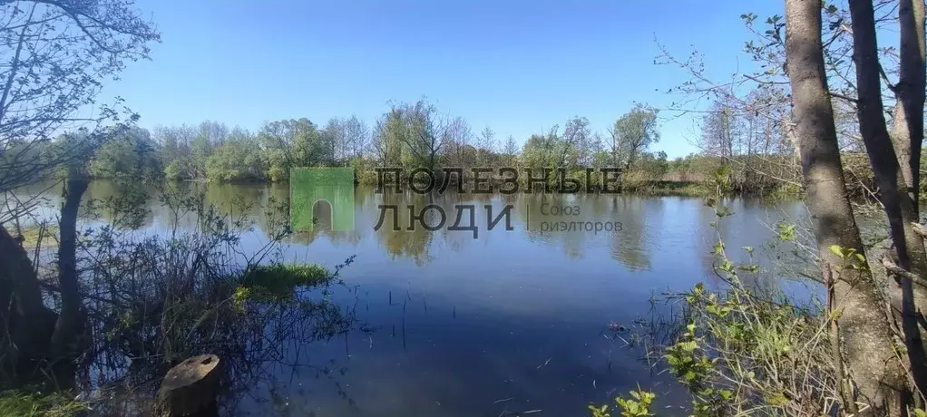 Участок в Орловская область, Орловский район, д. Булгаковы Горки  ... - Фото 2