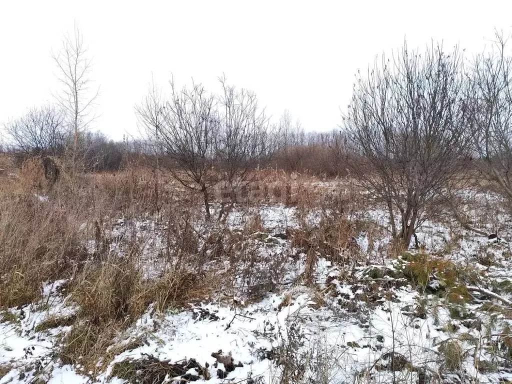 Участок в Кемеровская область, Кемеровский район, с. Березово ул. ... - Фото 0