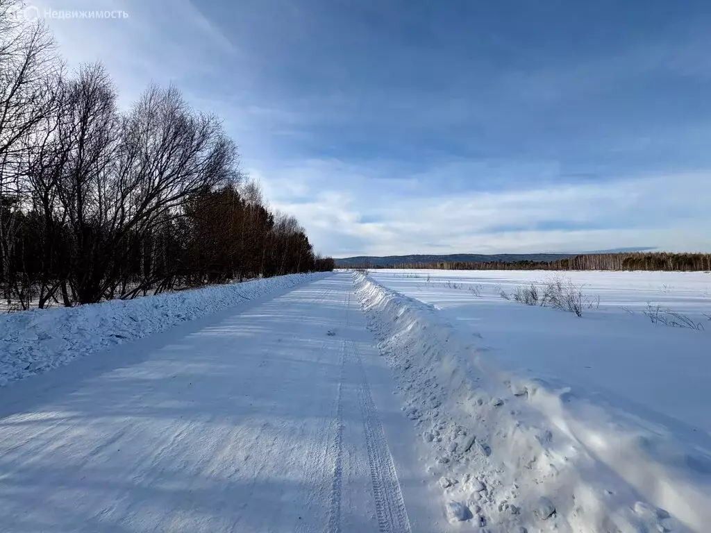 Участок в Баклашинское муниципальное образование, посёлок Пионерск (10 ... - Фото 2