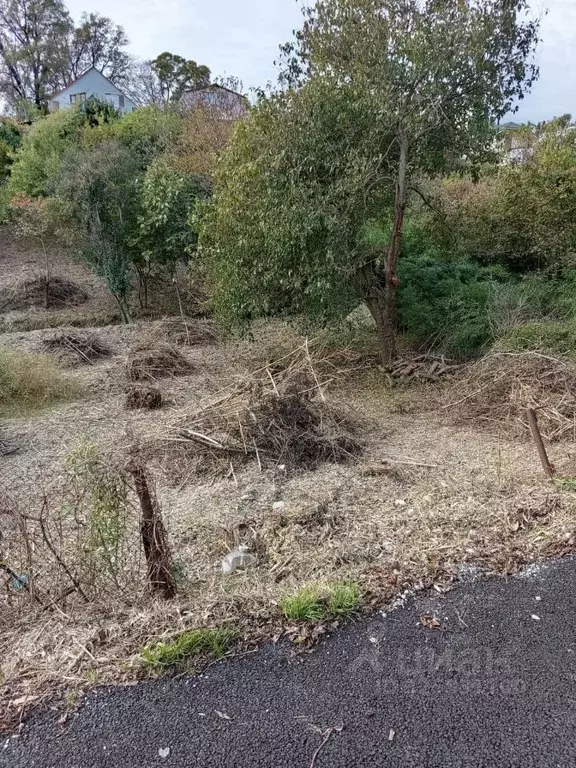 Участок в Краснодарский край, Сочи Совет-Квадже мкр, пер. Сибирский ... - Фото 2