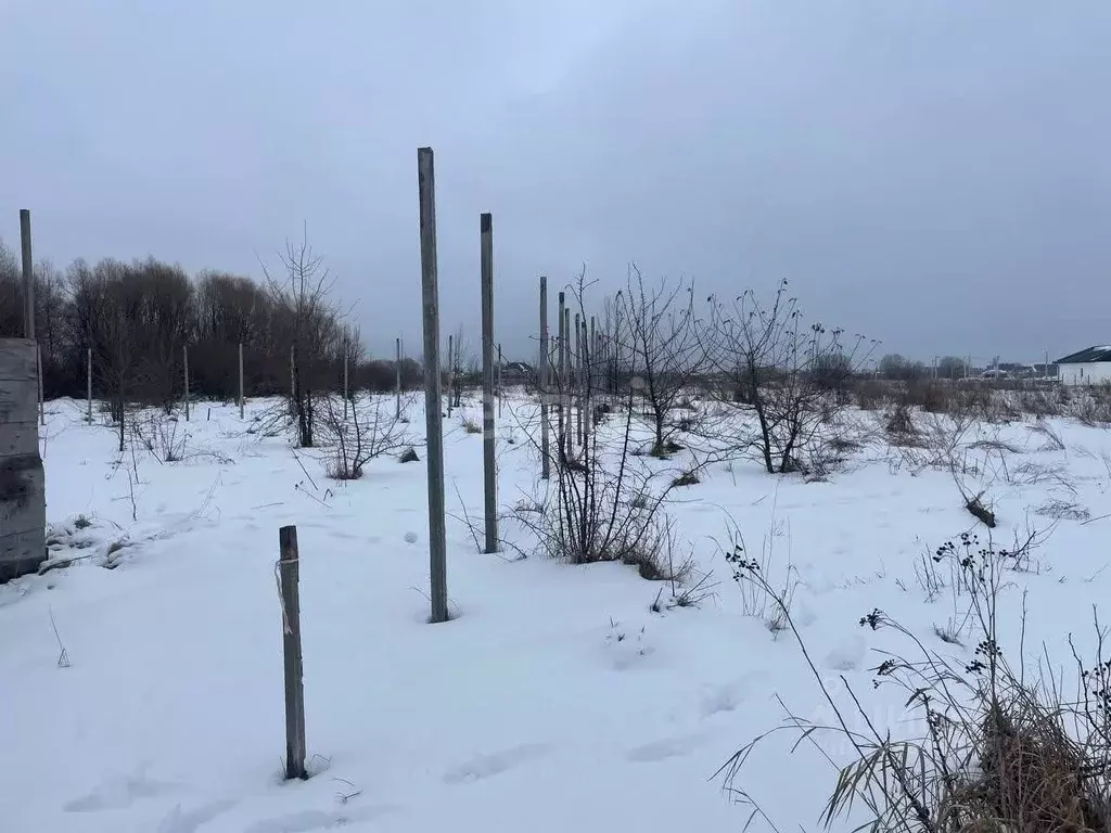 Участок в Воронежская область, с. Новая Усмань ул. Коммунарская (10.0 ... - Фото 1