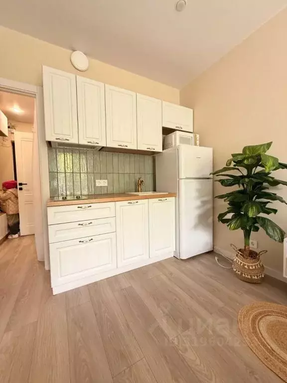 1-к кв. Краснодарский край, Сочи ул. Искры, 88к3 (25.0 м) - Фото 1