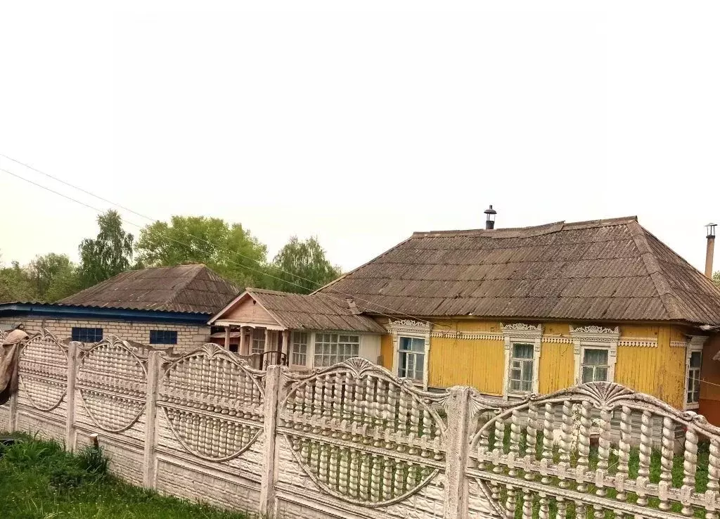 Дом в Брянская область, Фокино ул. Маяковского (39 м) - Фото 2