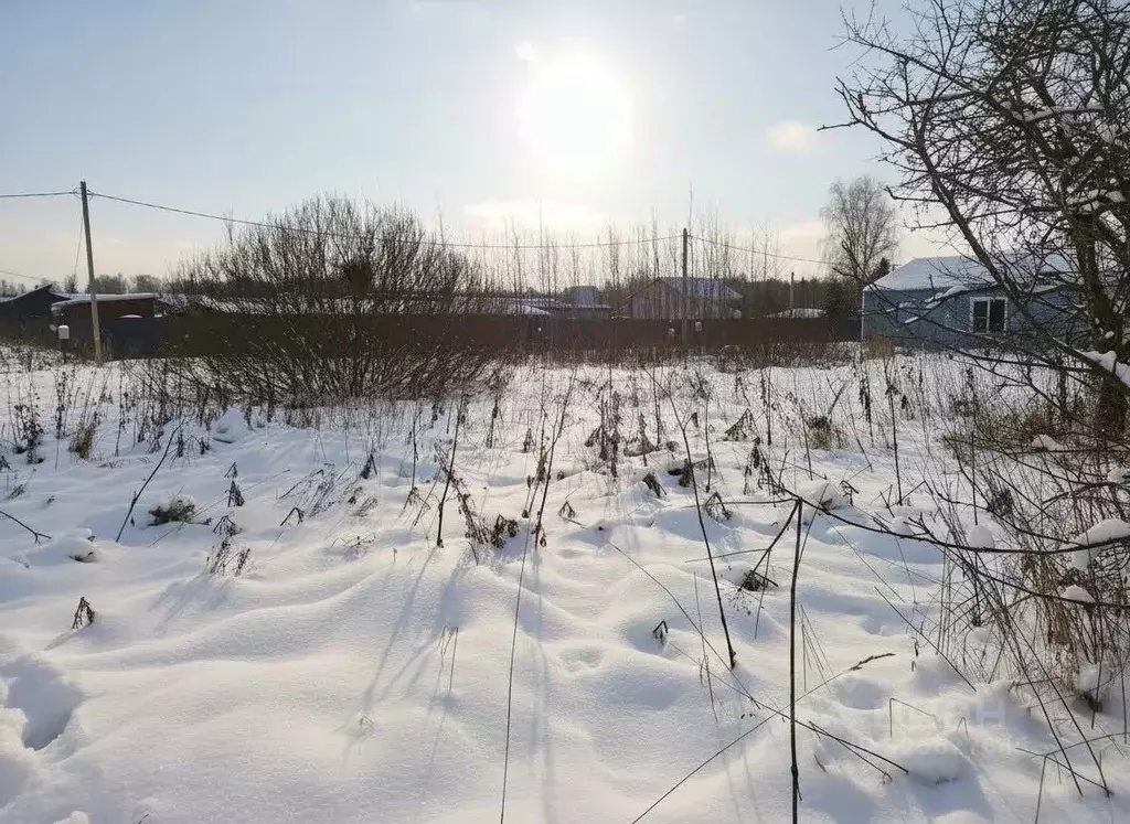 Участок в Московская область, Талдомский городской округ, д. Карманово ... - Фото 2