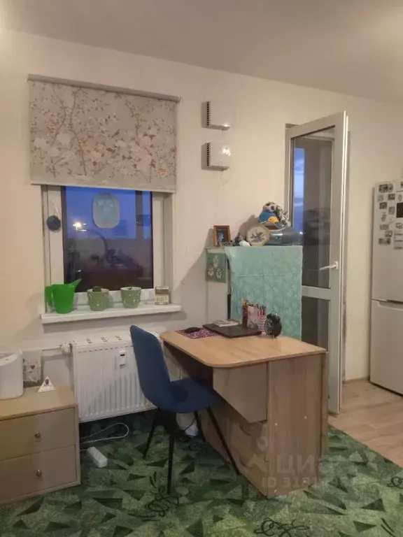 Студия Санкт-Петербург ул. Чарушинская, 22к1 (20.4 м) - Фото 1