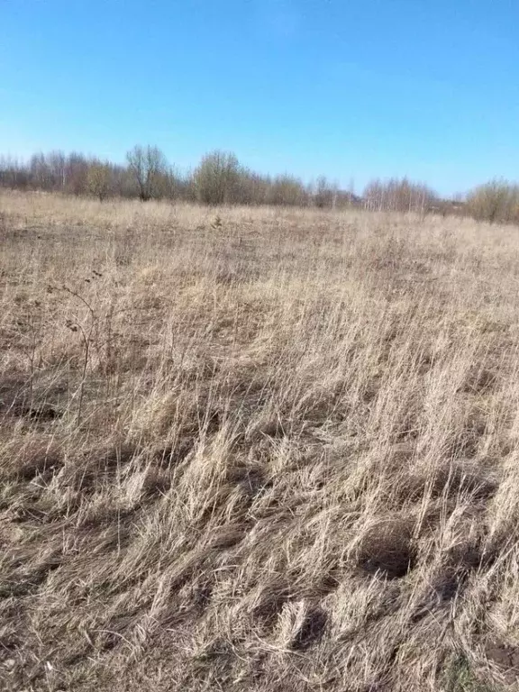 Участок в Владимирская область, Муром д. Рожново, ул. Новая (7.61 ... - Фото 0