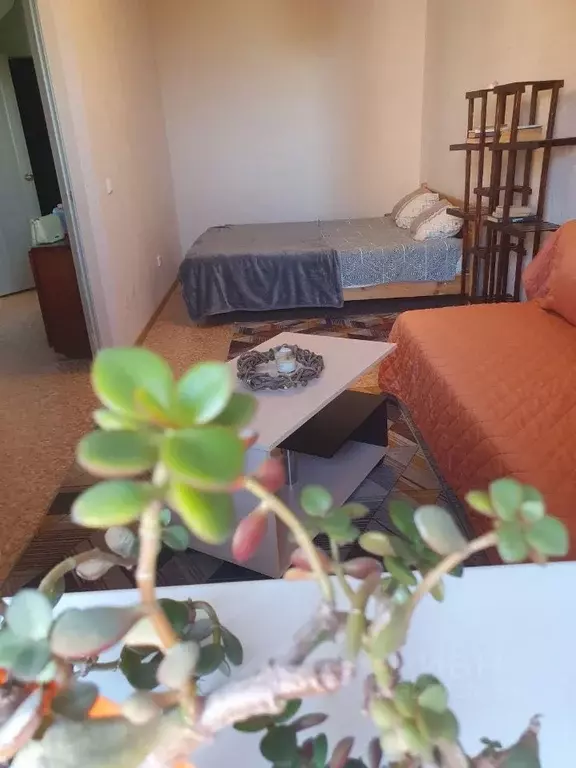 1-к кв. Воронежская область, Воронеж Троицкий кв-л, Олимпийский ... - Фото 1