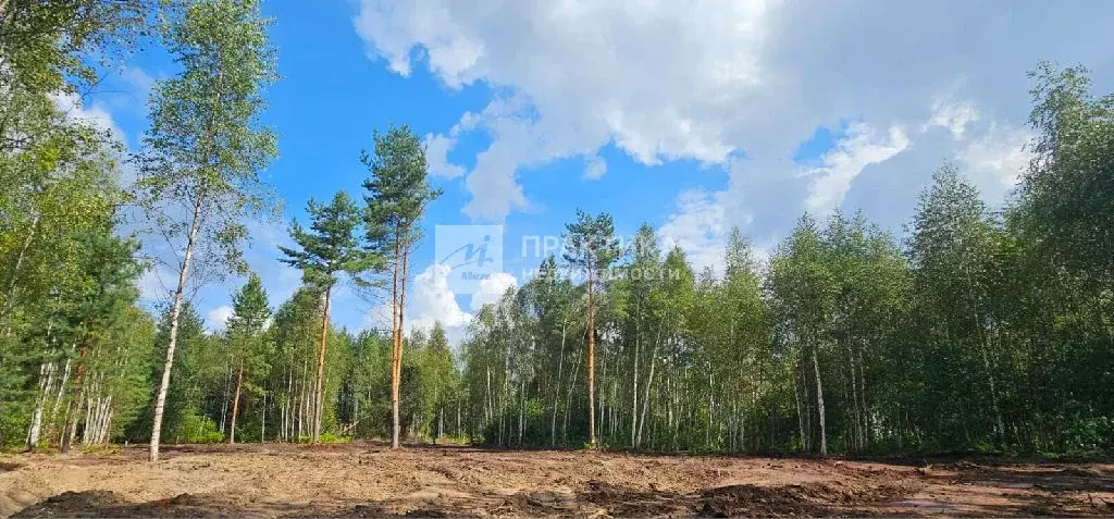 Продается участок в д. Козлово - Фото 2