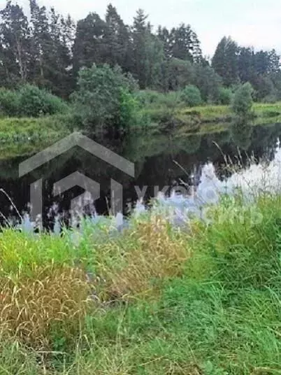 Участок в Ленинградская область, Кингисеппский район, Большелуцкое ... - Фото 1