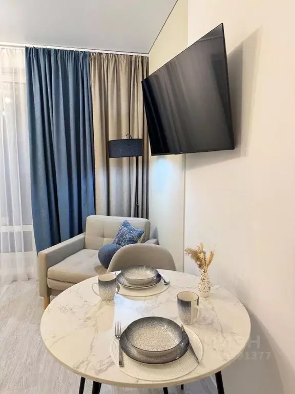 Студия Санкт-Петербург Светлановский просп., 14к1 (24.1 м) - Фото 0