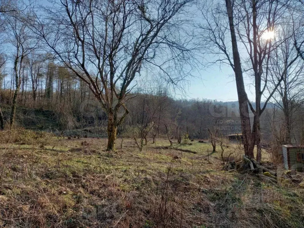 Участок в Краснодарский край, Сочи городской округ, с. Вардане-Верино, ... - Фото 0