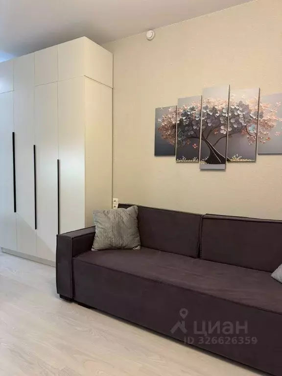 Студия Москва № 160 кв-л, 1Вк1 (23.0 м) - Фото 2