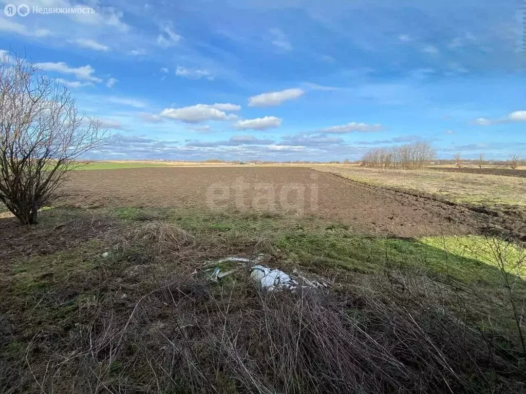 Участок в хутор Журавлёвка, Набережная улица, 7 (25 м) - Фото 1