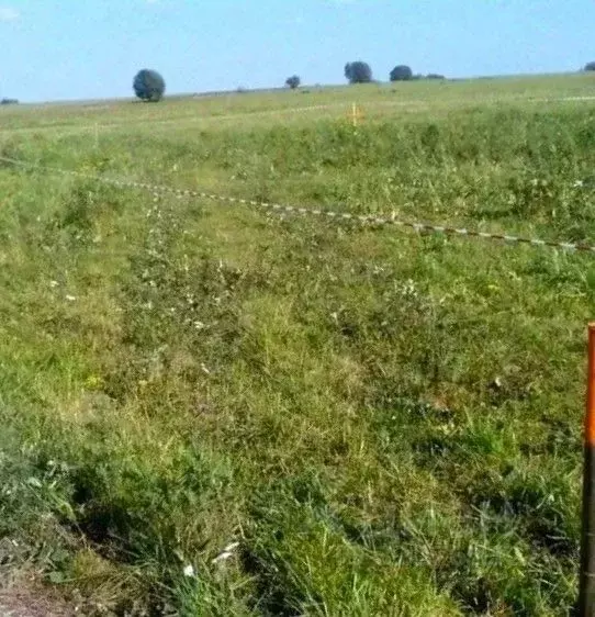 Участок в Калужская область, Малоярославецкий муниципальный округ, ... - Фото 1
