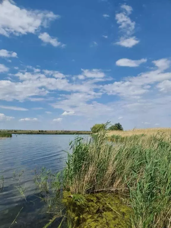 Участок в Волгоградская область, Волгоград ул. Рыжиковая (9.0 сот.) - Фото 0