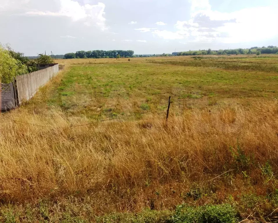 Никольское знаменский. Село Никольское Знаменский район Тамбовской области. Село Никольское Знаменского района Тамбовской области. Тамбов Никольское Знаменский район. Участок Знаменка.