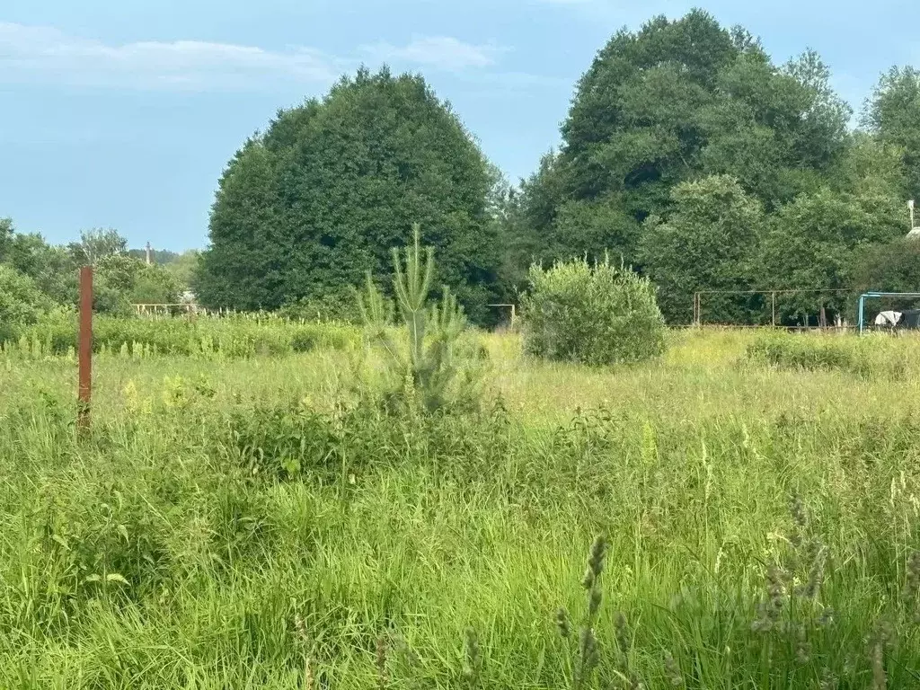 Участок в Мордовия, Саранск городской округ, с. Грибоедово ул. ... - Фото 1