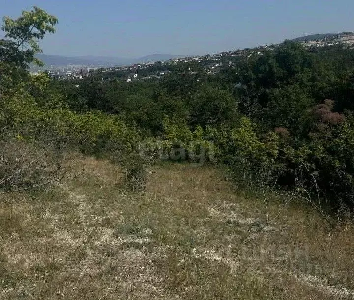 Участок в Краснодарский край, Новороссийск Голубая Даль СНТ, ул. ... - Фото 1