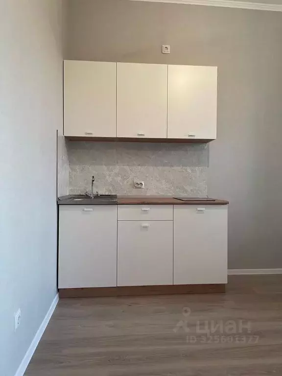 Студия Санкт-Петербург пос. Шушары, ул. Нины Петровой, 10к1 (25.0 м) - Фото 2