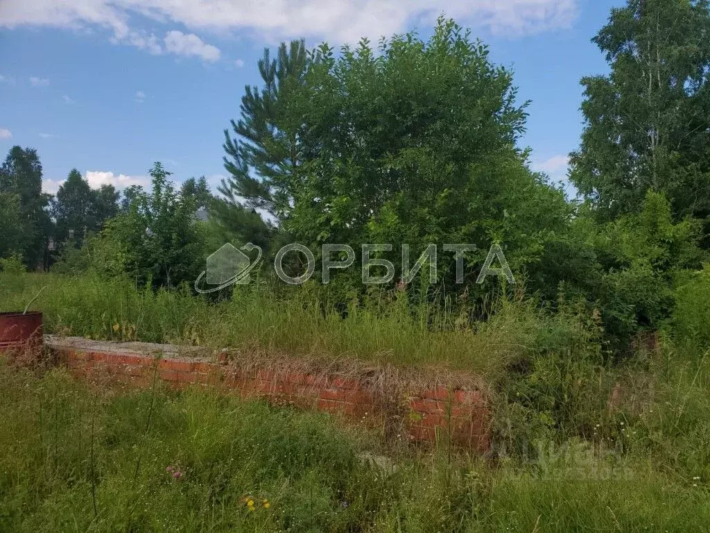 Участок в Тюменская область, Нижнетавдинский район, д. Штакульская ... - Фото 1